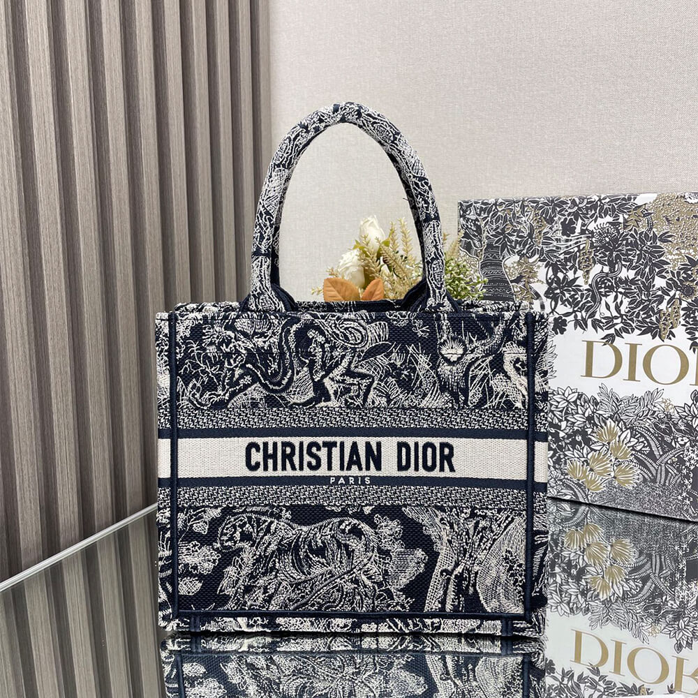 Small Dior Book Tote