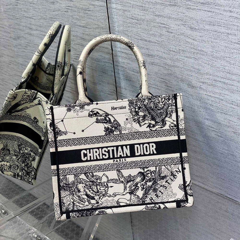 Small Dior Book Tote