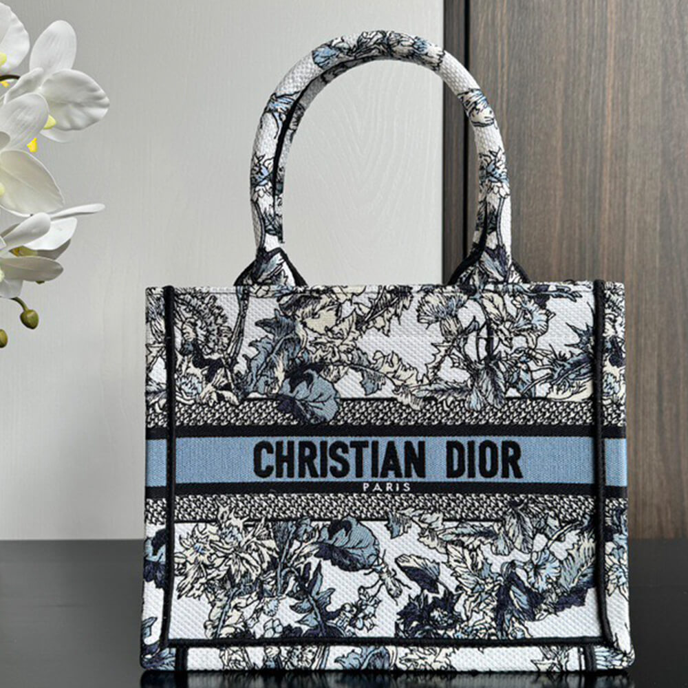 Small Dior Book Tote