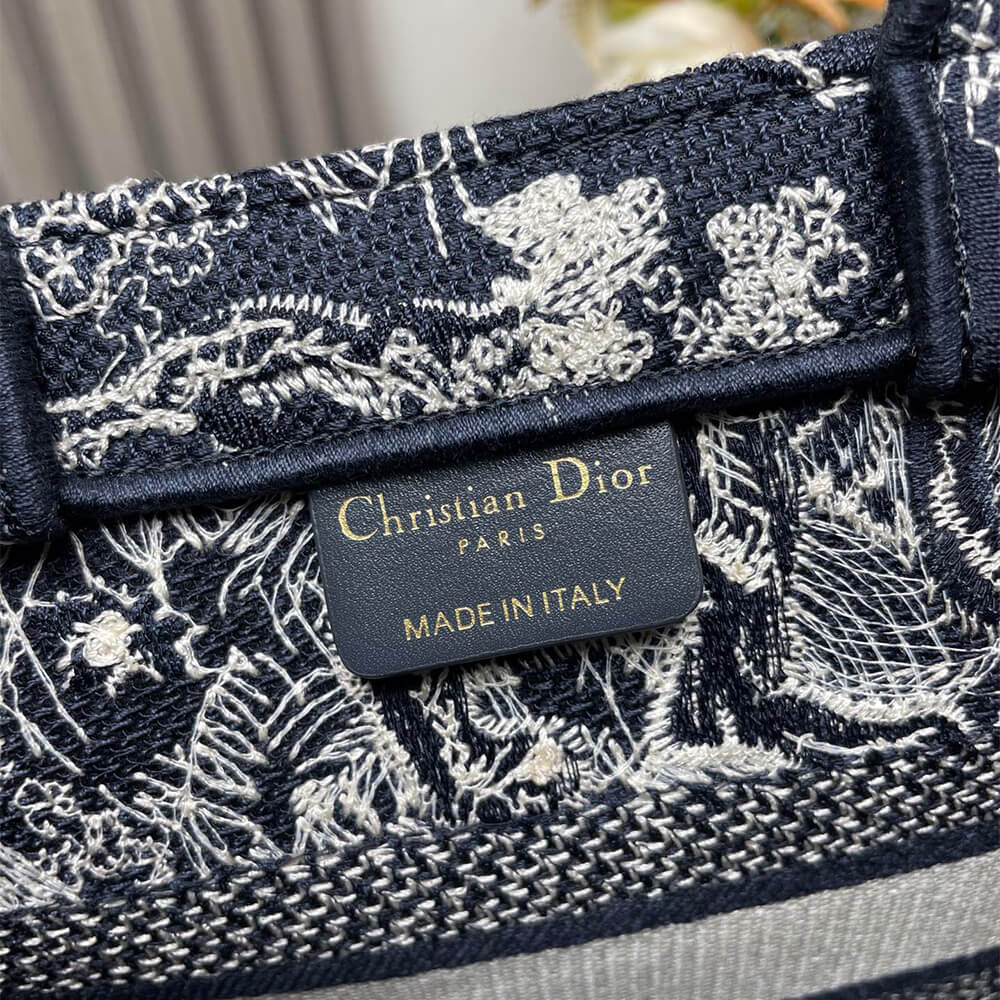 Small Dior Book Tote