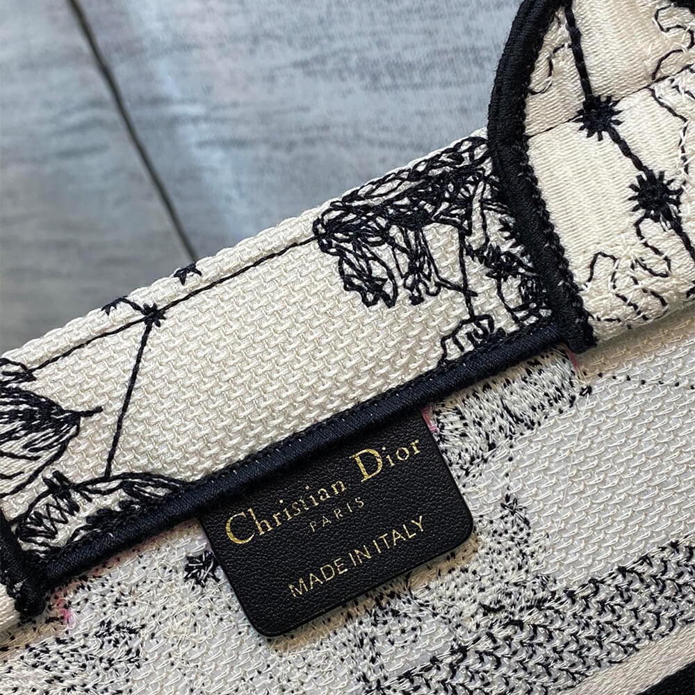 Small Dior Book Tote