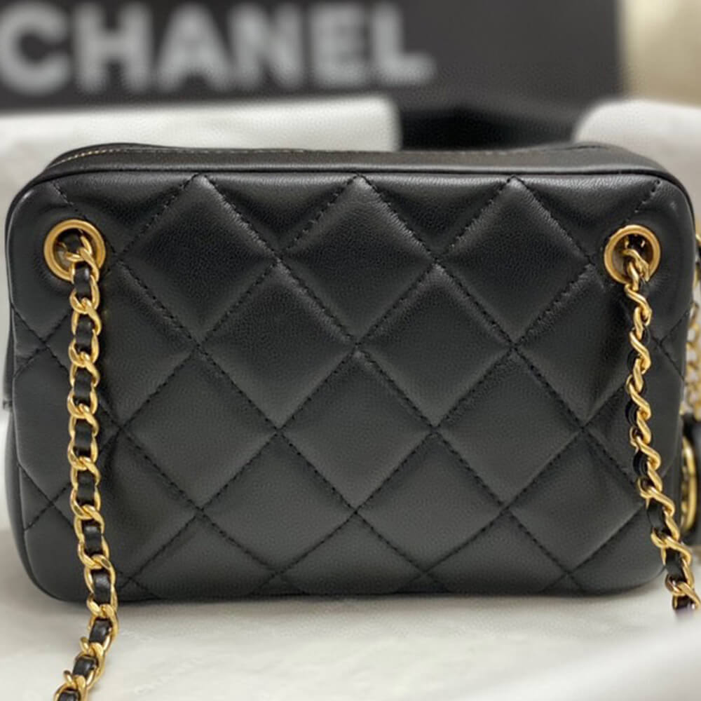 CHANEL Mini Camera Case