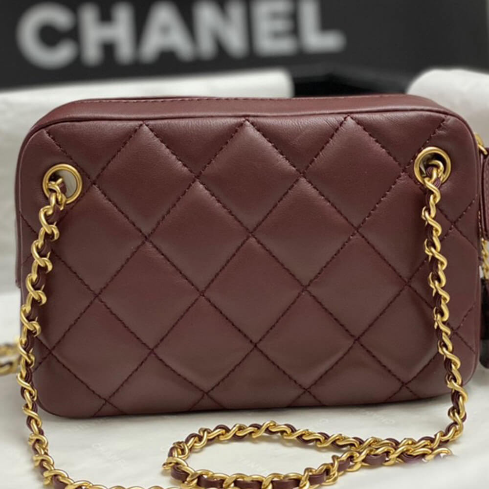 CHANEL Mini Camera Case