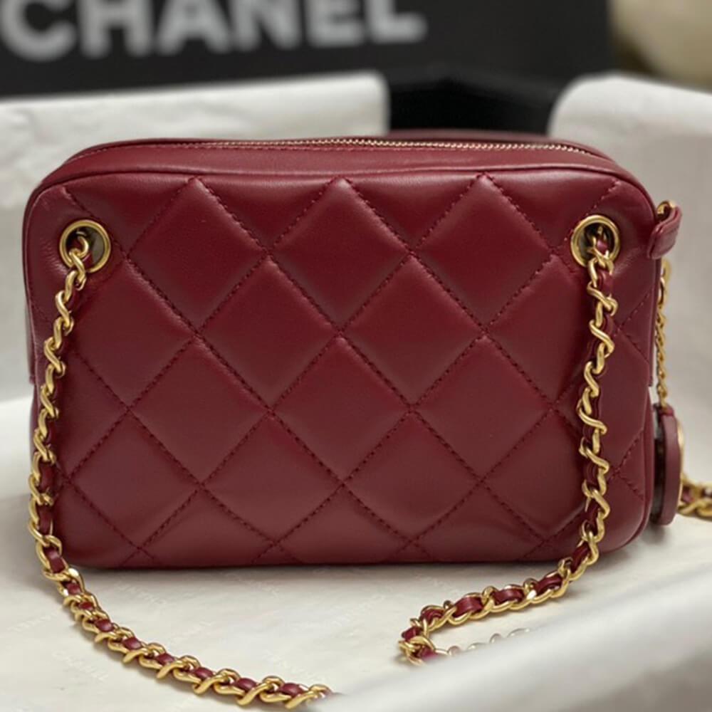 CHANEL Mini Camera Case