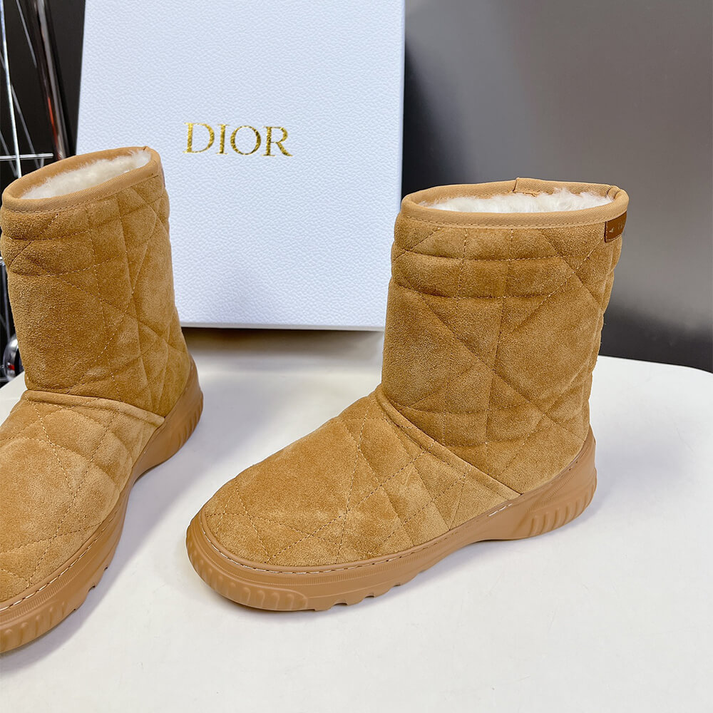 Dior Frost Ankle Boot