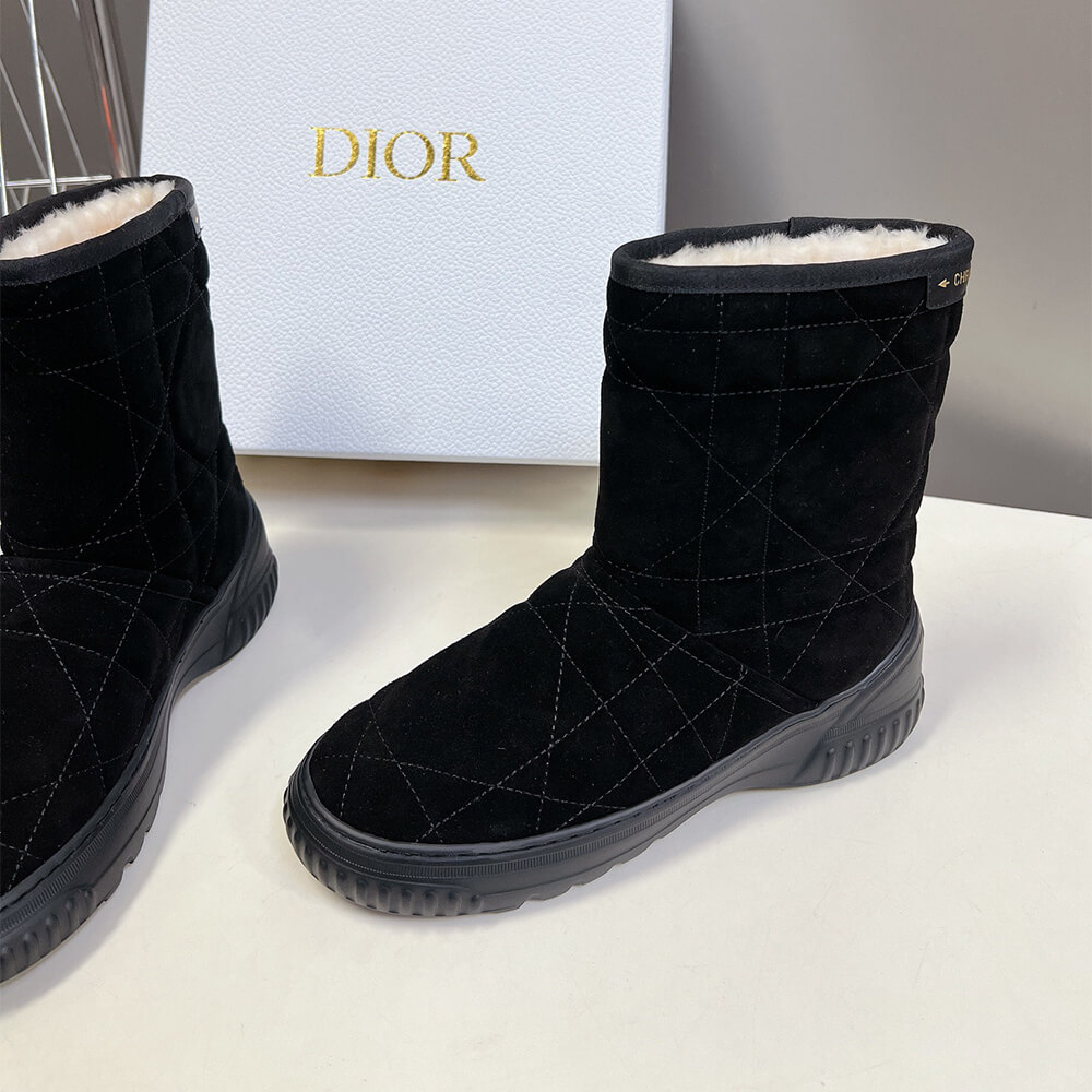 Dior Frost Ankle Boot