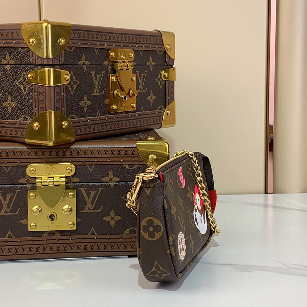 LV Mini Pochette Accessoires