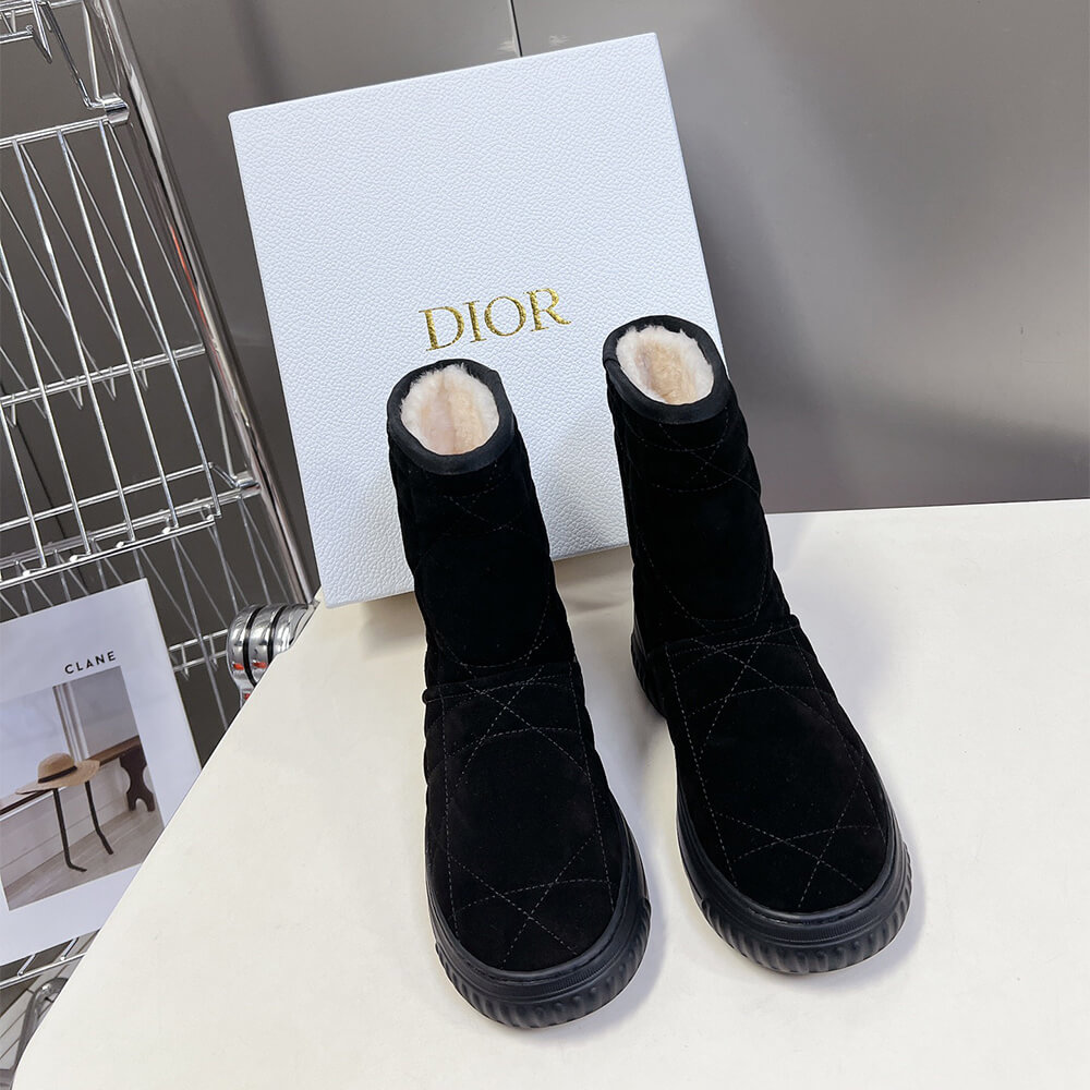 Dior Frost Ankle Boot