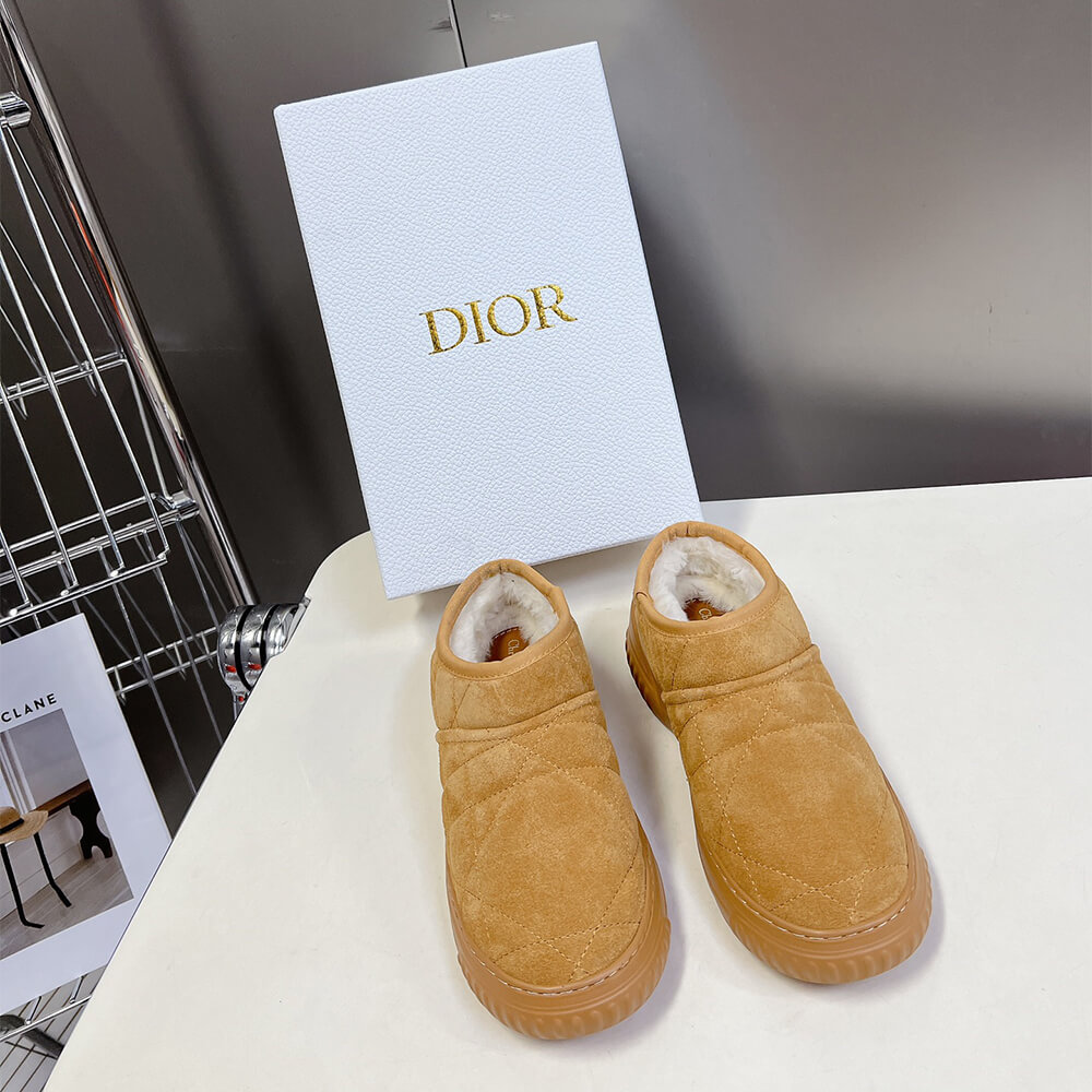 Dior Frost Ankle Boot