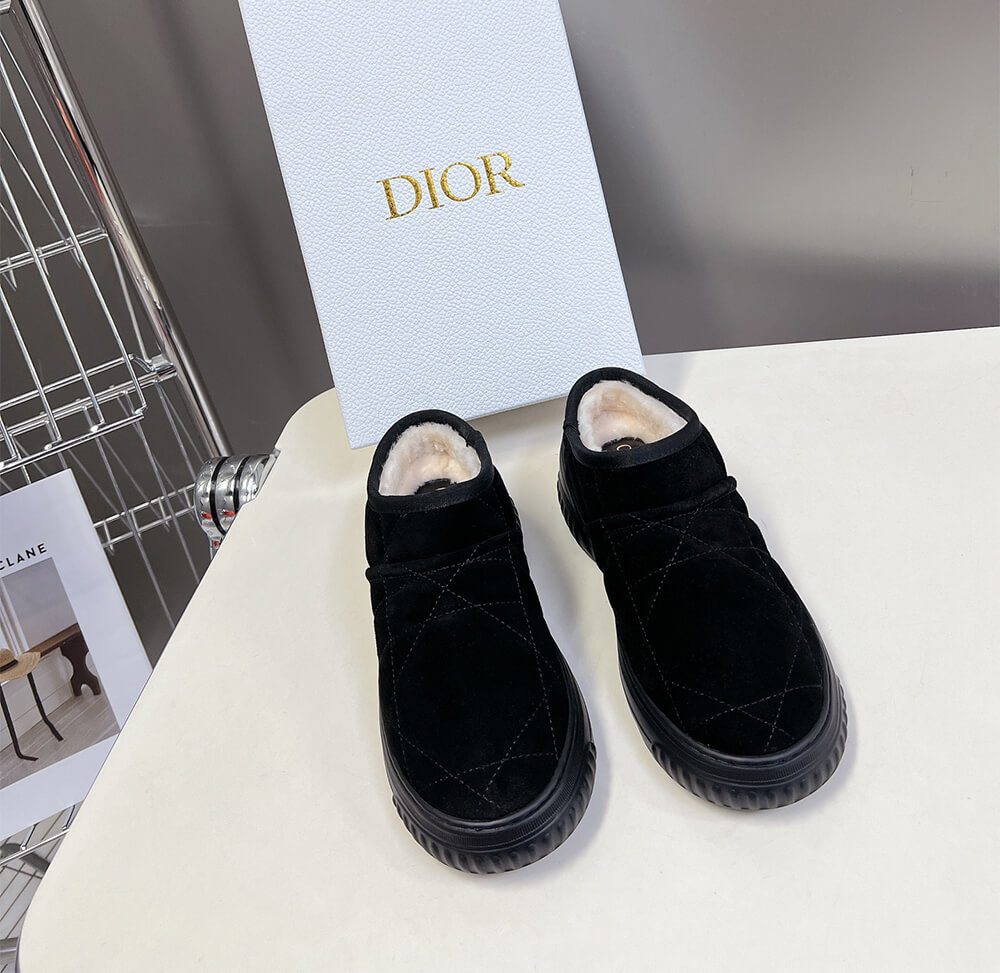 Dior Frost Ankle Boot