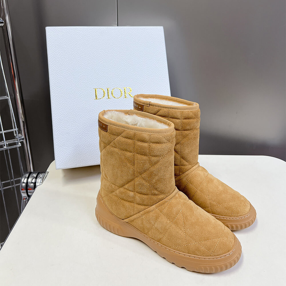 Dior Frost Ankle Boot