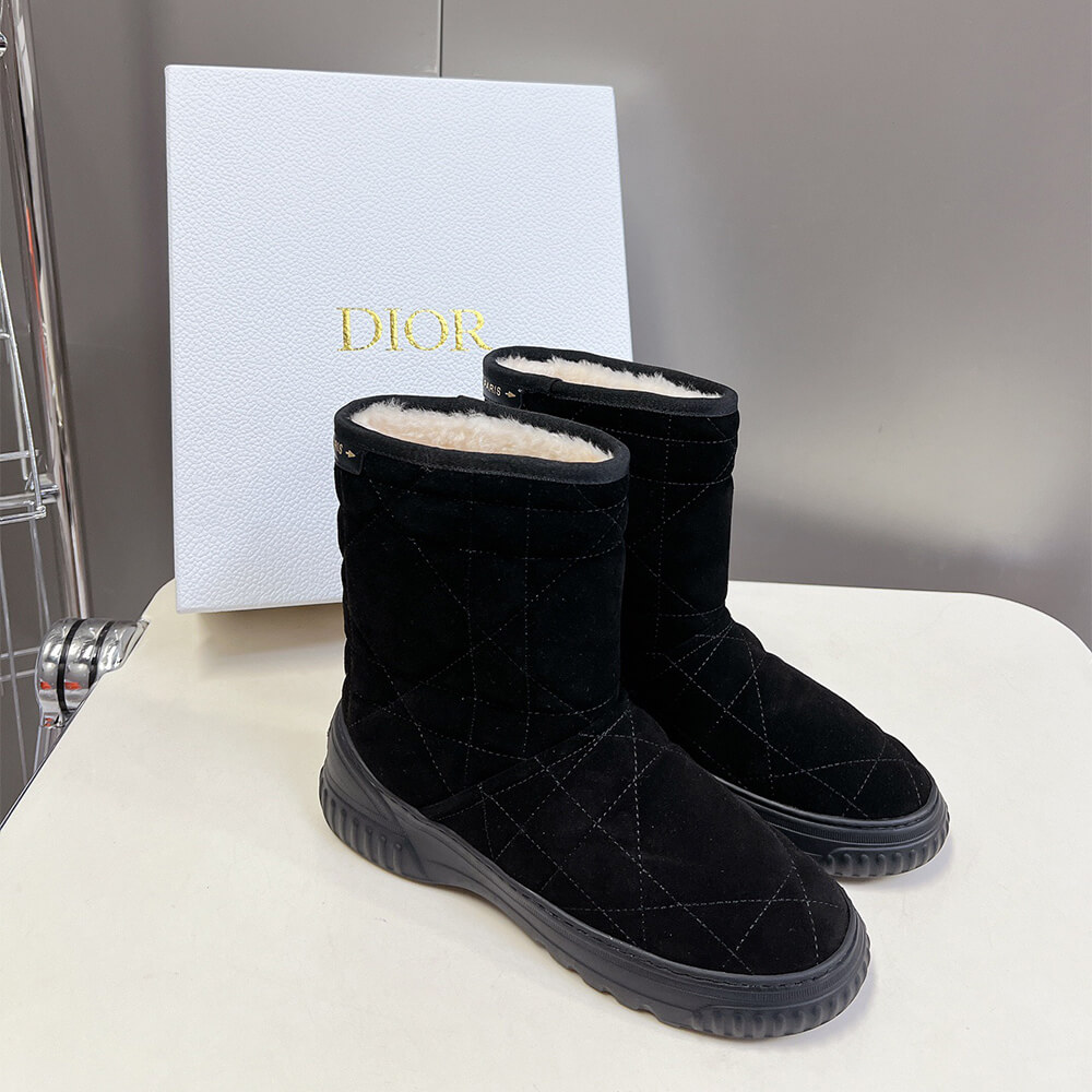 Dior Frost Ankle Boot