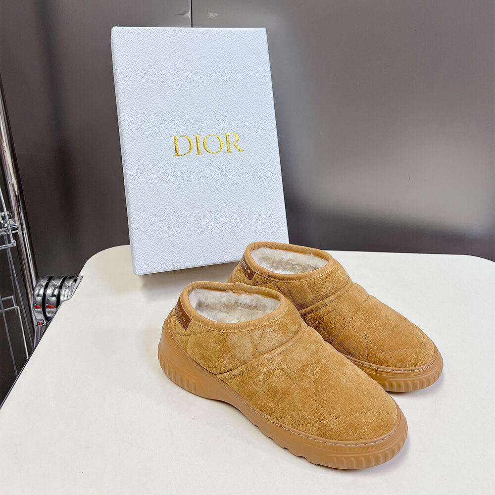 Dior Frost Ankle Boot