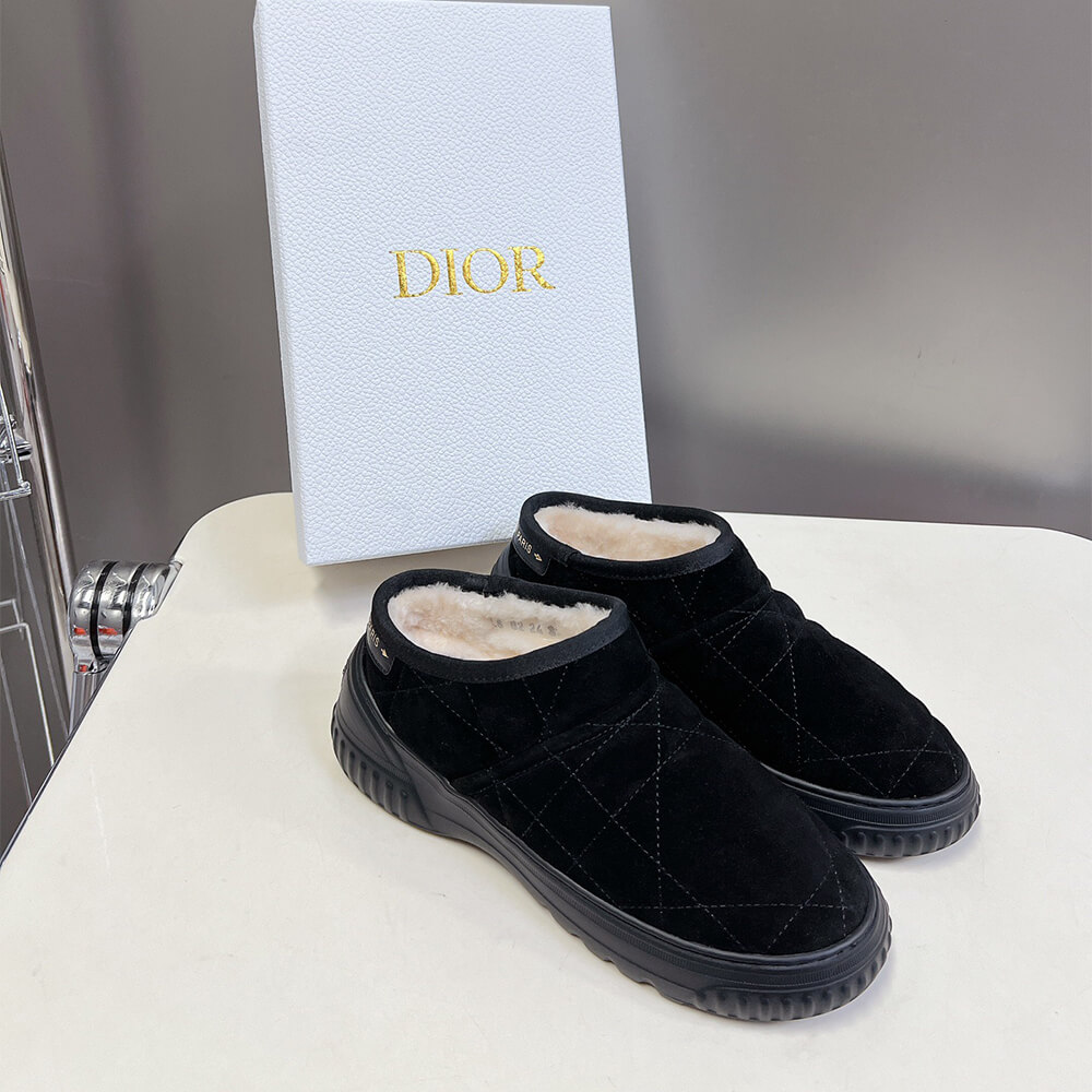 Dior Frost Ankle Boot