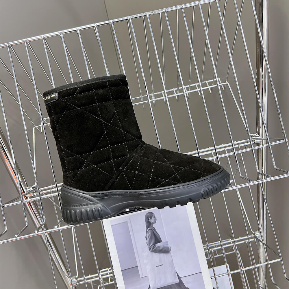 Dior Frost Ankle Boot