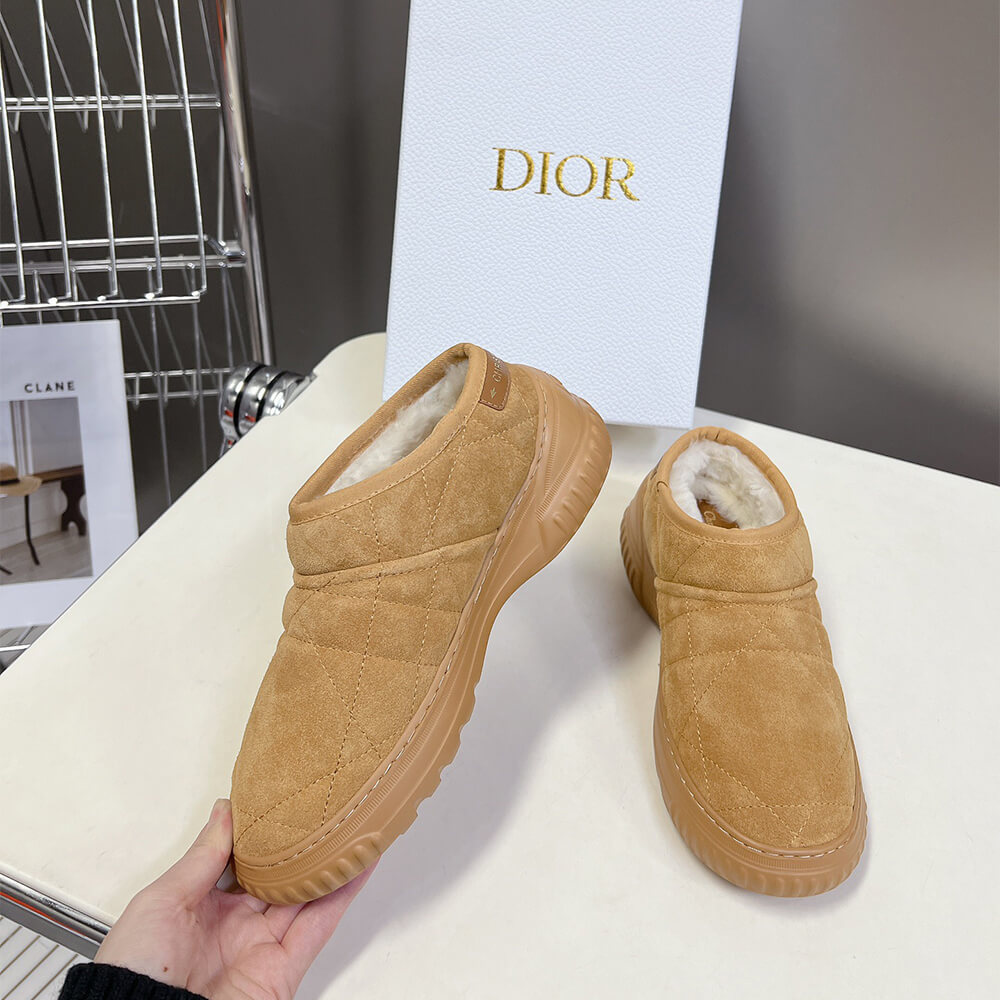 Dior Frost Ankle Boot