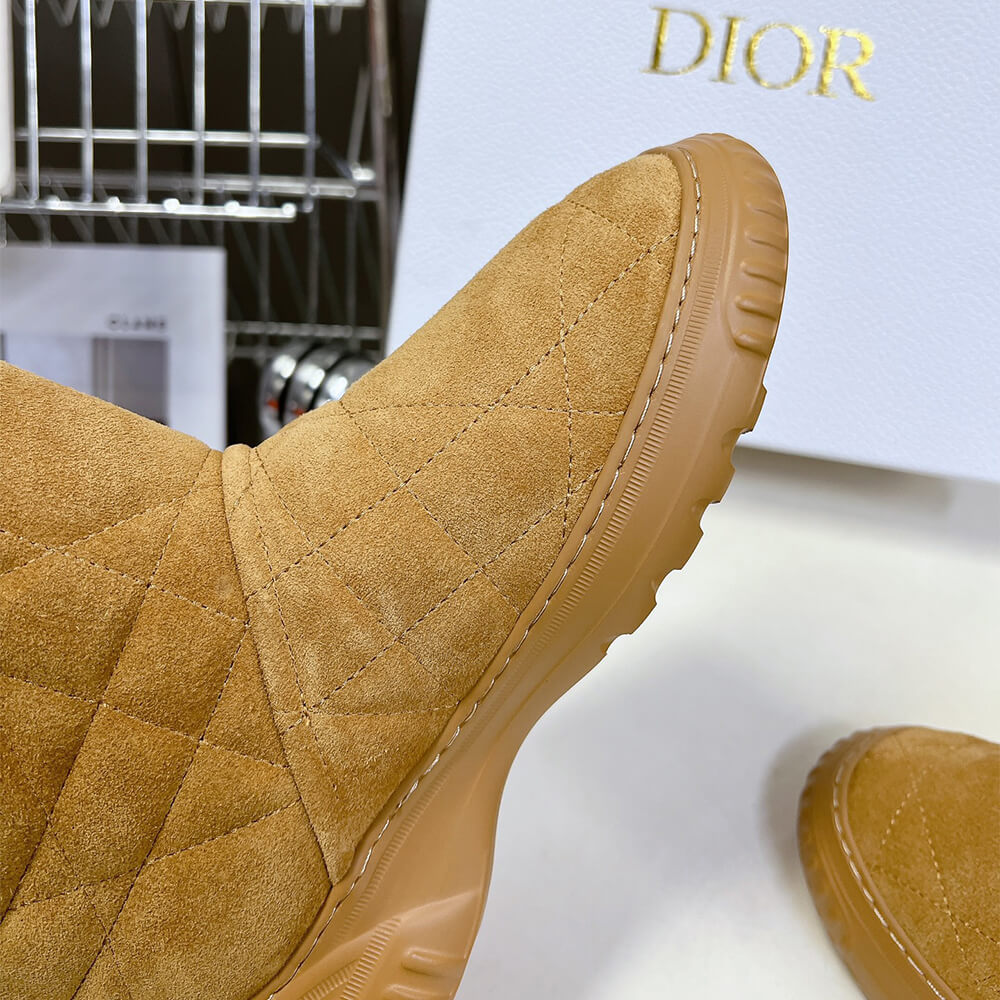 Dior Frost Ankle Boot