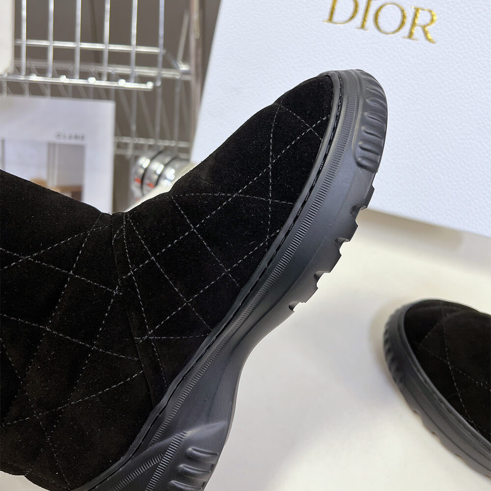 Dior Frost Ankle Boot