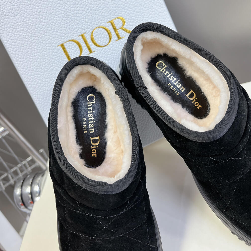 Dior Frost Ankle Boot