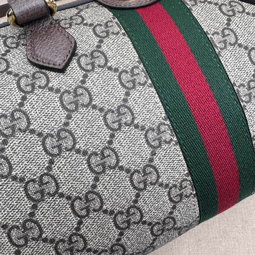 GUCCI Ophidia small top handle bag