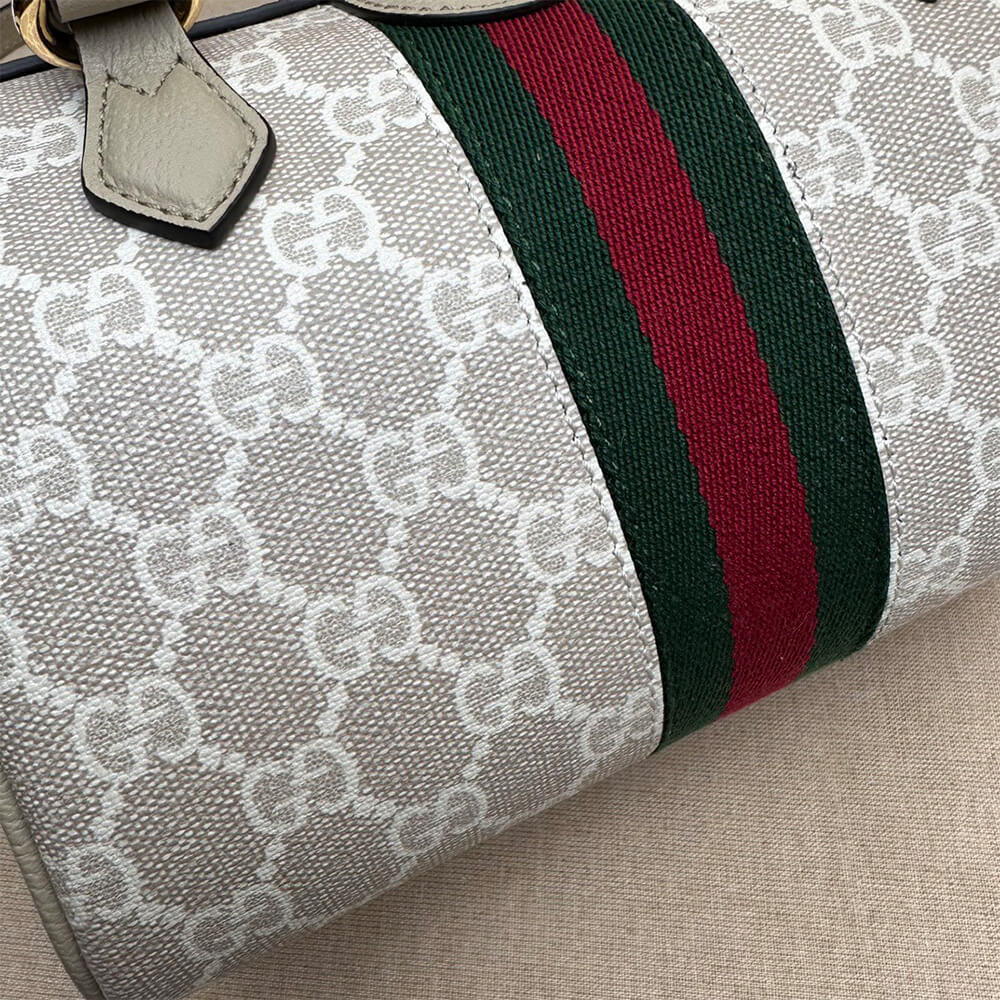 GUCCI Ophidia mini top handle bag