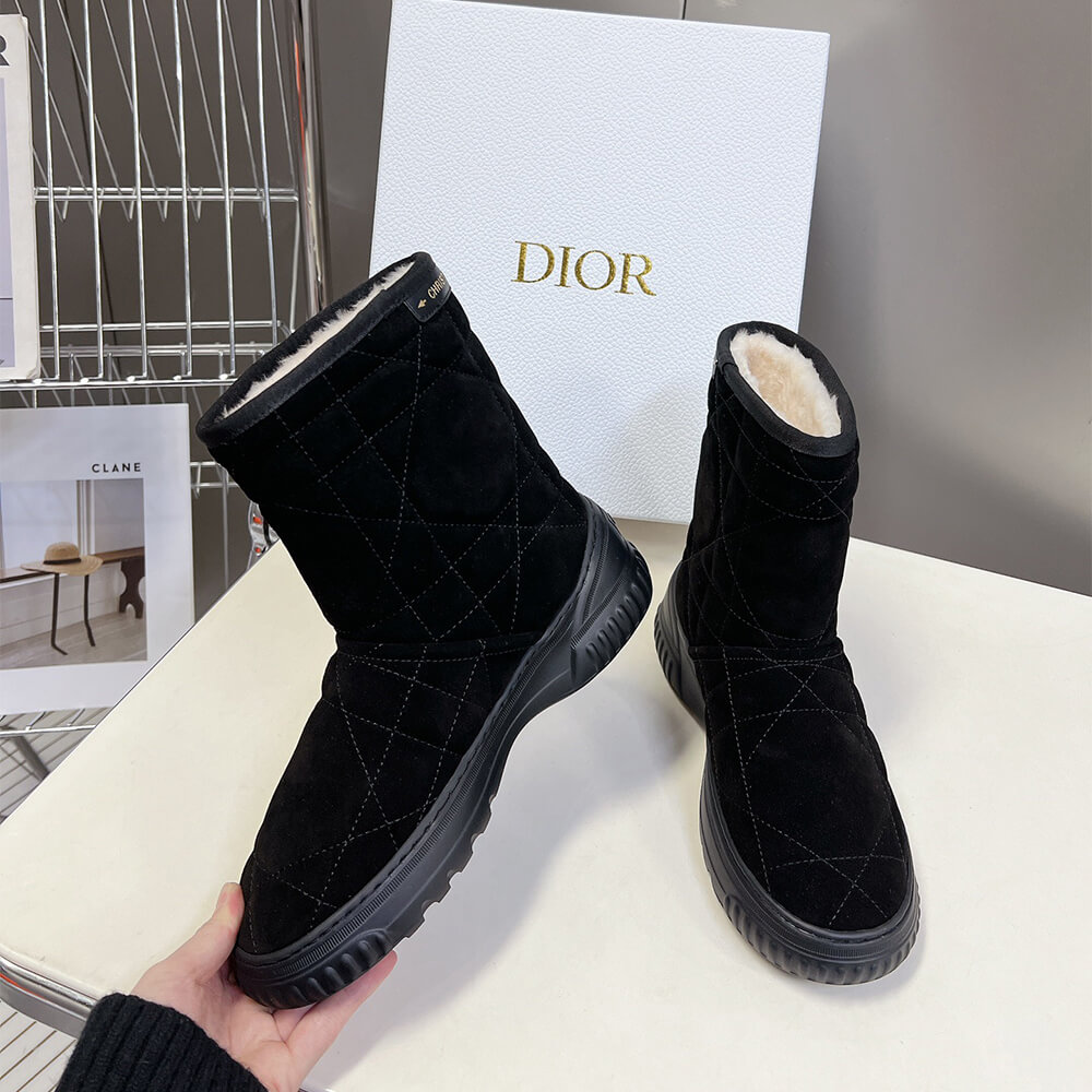 Dior Frost Ankle Boot