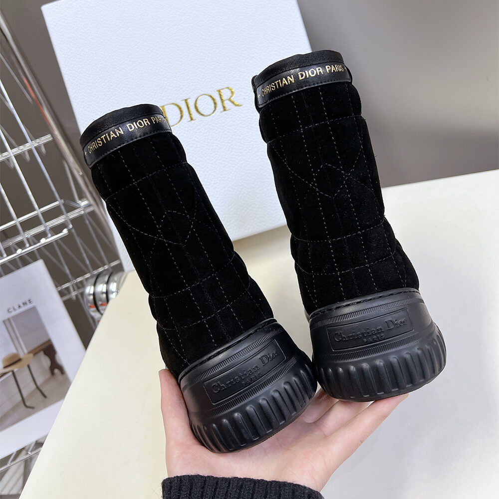 Dior Frost Ankle Boot